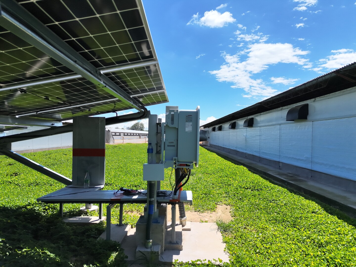 Proyecto Fotovoltaico Don Pollo en Montenegro, Quindío – 542,36 kWp